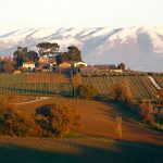 Ospitalità enoturistica a tutto tondo nell'azienda vitivinicola Antonelli San Marco