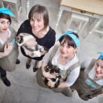 A Torino arriva “MiaGola Caffé”, il primo “cat café”, locale per gatti in Italia