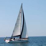 Mare, buona cucina e vini di qualità: tutto questo è Taste&sail