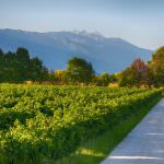 Vinitaly 2014, i Vini Venezia lasciano l'impronta