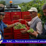 I NAC alla 48^ edizione di Vinitaly, Comando Carabinieri Politiche Agricole e Alimentari: Prevenzione, Consapevolezza ed Educazione 