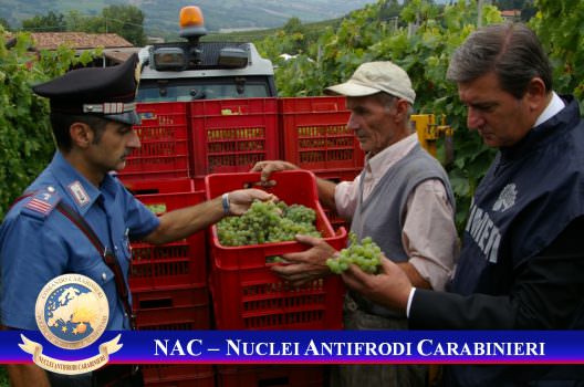 I NAC alla 48^ edizione di Vinitaly, Comando Carabinieri Politiche Agricole e Alimentari: Prevenzione, Consapevolezza ed Educazione