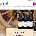 Vinitaly 2014: I Vini Coluè da Diano D'Alba parlano coi #Winelovers nel mondo