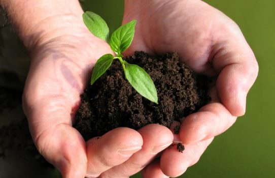 Premio giornalistico scientifico “Alimentiamo il nostro futuro, nutriamo il mondo. Verso Expo 2015”