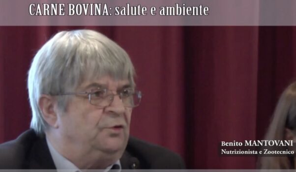 Dopo il Grufolino, il Manzetto di Benito Mantovani – Convegno CARNE BOVINA: salute e ambiente (Video)
