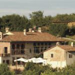 Piante spontanee: Agricoltura e cultura, enologia e gastronomia a Urtica 2014 ad Alba