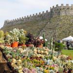 Fiori nella Rocca, la Mostra mercato di piante rare alla Rocca Visconteo-Veneta di Lonato del Garda (Brescia)