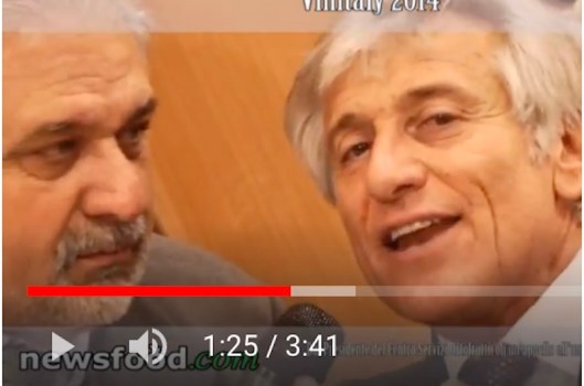 Paolo Bruni  e il Vino della Pace di Cormons a Vinitaly 2014 (Video)