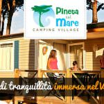 Le offerte per l'estate 2015 al Pineta sul Mare Camping Village