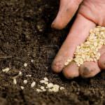 28 e 29 aprile, Firenze: Festival dei Semi, del Cibo e della Democrazia della Terra