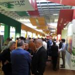 Vini lombardi: Un Vinitaly da incorniciare