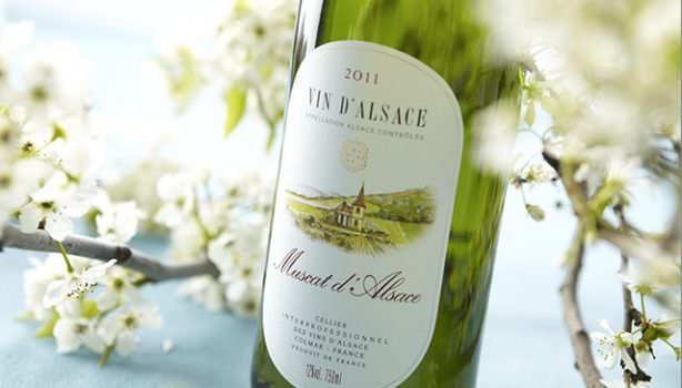 Millésimes Alsace, il salone dedicato ai grandi bianchi d’Alsazia, Colmar 16 giugno 2014