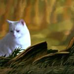 Mostra di quadri dedicata ai gatti