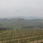 L’Azienda Agricola Cascina Brettarossa al Cibus 2014