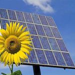 Imprese agricole: Tasse troppo alte sull'energia pulita