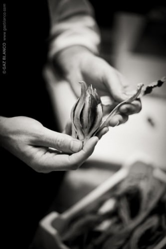 Le mani di Aprea nelle foto di GaZ Blanco