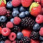 Frutti di bosco contaminati: Il rischio di contrarre l’epatite a non è rientrato