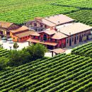Azienda Agricola Leonardi: Dedizione e amore per produzione e invecchiamento ad arte del Balsamico di Modena