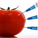 OGM, l’UE ha deciso: gli Stati saranno liberi di scegliere
