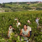 Vino: San Patrignano nacque con un Sangiovese (+ precisazioni aggiuntive del 9 giugno)