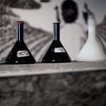 STUDI APERTI di Ameno, Lago d'Orta: grande successo del festival delle arti 