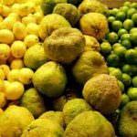 Frutta e verdura brutta: così la Francia combatte lo spreco