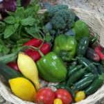 L'onda verde: in crescita vegetariani e vegani