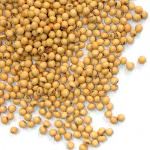 “Dieta vegana ? Un business, marketing animalista"