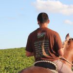 Menfi: Mandrarossa Vineyard Tour, un emozionante percorso dove nascono i vini Mandrarossa