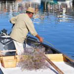 Sapore di Sale: La festa dell’Oro Bianco di Cervia dall’11 al 14 settembre