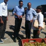Il Ministro Maurizio Martina a Pantelleria vendemmia lo Zibibbo e inaugura Passitaly 2014