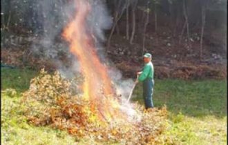 Agricoltura, Marche: Dal 1° settembre si potrà bruciare, sul campo, i residui delle lavorazioni agricole e forestali