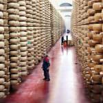 Guerre e guai dei paesi nostri: La guerra tra Ucraina e Russia si riflette anche sull’ agricoltura italiana