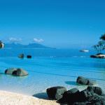 Polinesia Francese: Scopri la natura mozzafiato delle Isole di Tahiti