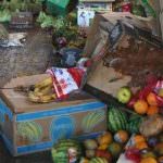 Arriva dalla Coldiretti Alessandria un intervento denuncia contro lo spreco alimentare