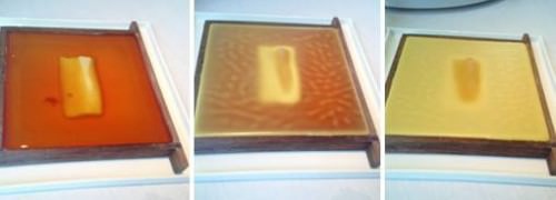 La cera d’api di Reitbauer