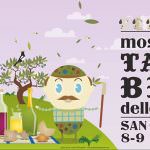 8-9 e 15-16 novembre: 29^ Mostra Mercato del Tartufo Bianco delle Crete Senesi a San Giovanni d’Asso