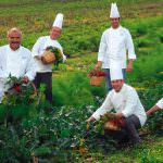 Orsara di Puglia, 19° Appuntamento con la Daunia: dall’orto dei miracoli al matrimonio indiano da mille e una notte