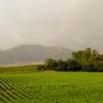 Paolo Marzotto: “Cembali” e “Agnus” di Baglio di Pianetto in Gallery Wine Experience di Piazza Duomo … in prima fila per Expo 2015