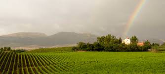 In Sicilia anche d’inverno, in campagna e in cantina nelle tenute Baglio di Pianetto