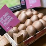 LAB.BRAINdesign, il laboratorio di innovazione per la promozione e comunicazione del fungo Bio di Hortoitalia