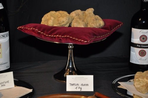 Asta Mondiale del Tartufo d'Alba