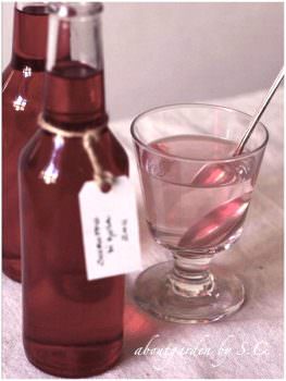 Sciroppo di rose di Tiglieto, presidio Slow-Food e importante testimonianza dei traffici tra Genova e il Medio Oriente