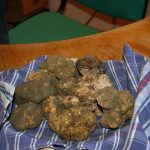 Sabato 8 novembre inizia la Mostra Mercato del Tartufo Bianco a San Giovanni d’Asso