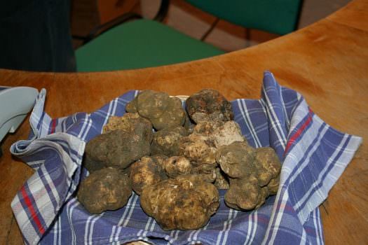 Sabato 8 novembre inizia la Mostra Mercato del Tartufo Bianco a San Giovanni d’Asso