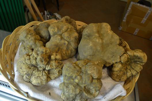 Fabio Braconi, Sindaco di san Giovanni d’Asso: a “Save the children” il Tartufo della Pace 2014