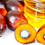La battaglia contro l'olio di palma: un problema di salute ma anche etico