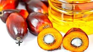 La battaglia contro l’olio di palma: un problema di salute ma anche etico