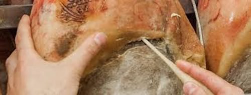 Prosciuttificio Castagnolo