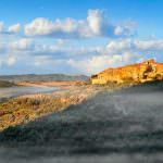 Mostra Mercato del Tartufo Bianco delle Crete Senesi, 29° edizione all'insegna della solidarietà 